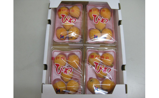 香川のびわ 「なつたより」約1kg 5月下旬頃～発送