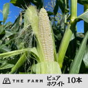 【ふるさと納税】THE FARMの希少なとうもろこし「ピュアホワイト」 10本【配送不可地域：離島・沖縄県】【1421920】