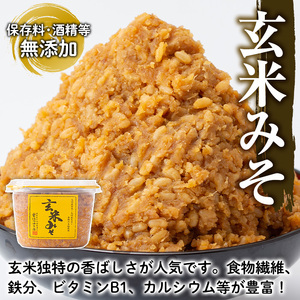 No.1256 ＜数量限定＞発酵食品Bセット！米こうじ(500g×2個)・天然あま塩(250g)・玄米みそ(500g) 味噌 みそ 無添加 麹 こうじ 味噌汁 調味料 料理 お酒 お菓子 無着色【日置