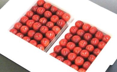 08-04-009　さくらんぼ(紅秀峰)特選手詰め1kg