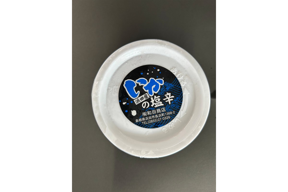 【イカ好き必見!】浜田名物イカ三昧セット(干物・塩辛・いかめし) 【025_0439】