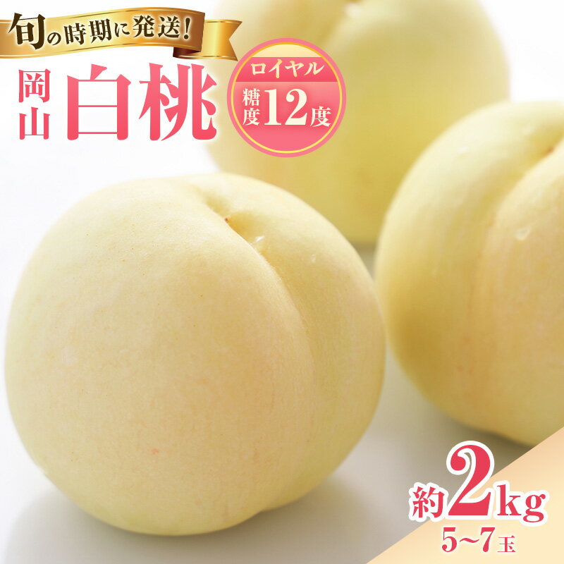 【ふるさと納税】【2026年先行受付】 白桃 特秀 ロイヤル 大玉 約2kg(5〜7玉) 岡山県産 桃 もも モモ 御中元 ギフト 御礼 プレゼント 御礼 御祝 御供 果物 くだもの フルーツ　お届け：2026年7月上旬〜2026年8月上旬