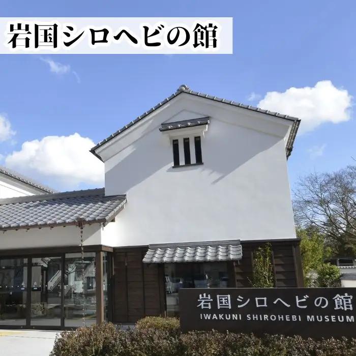 シロヘビチーズ 5個 400g ストリングチーズ さけるチーズ【榎本牧場チーズ工房】