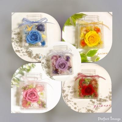 ふるさと納税 新宮町 ボトルフラワーミニ(5色から1つ選択).ZI357