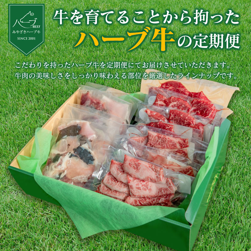 「新年から3か月お届け」2025年開始 厳選 みやざきハーブ牛 3か月定期便 牛肉 焼肉 国産【 E149-25】