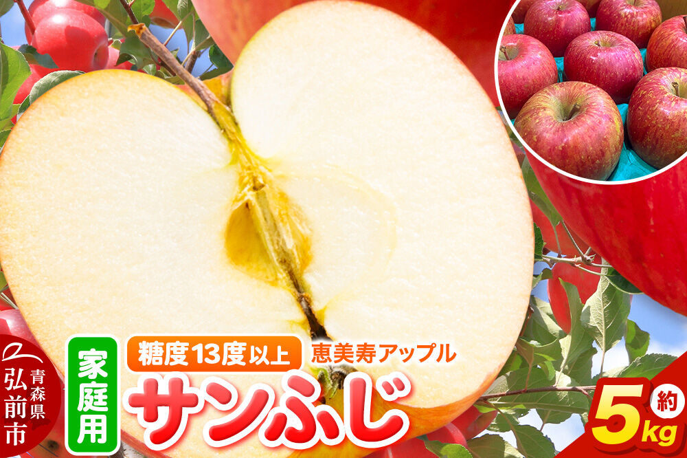 【26年12月発送】りんご サンふじ【家庭用】約5kg 糖度13度以上 先行受付 青森県 弘前市 果物 フルーツ 林檎 リンゴ くだもの 不揃い 規格外 [先行予約 産地直送 アップル おいしい 果実