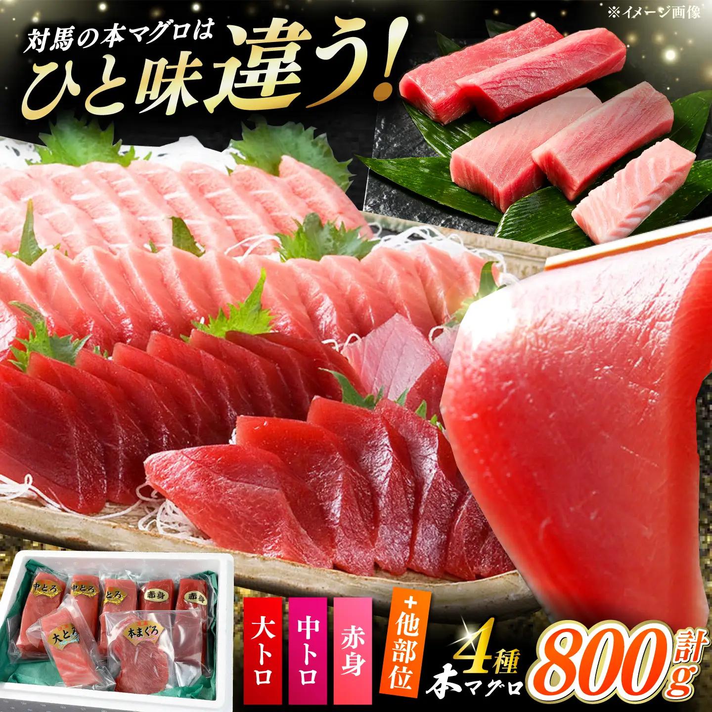 対馬産 生 本マグロ 800g （赤身、中トロ、大トロ） [WAH026] 中トロ 大トロ まぐろ マグロ 鮪