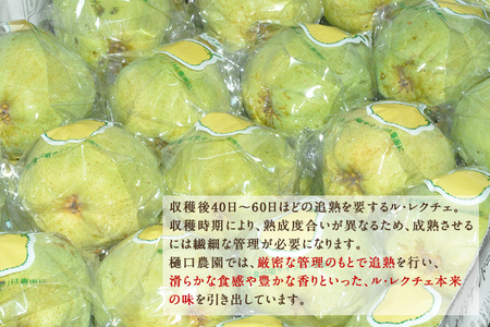 【2026年先行予約】【贈答用】西洋梨 ル・レクチェ 2kg（5～7玉）《11月下旬～順次出荷》 梨 洋梨