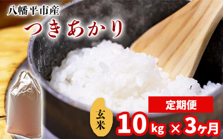 新米 先行予約 【令和8年産】 つきあかり 玄米 10kg （5kg×2袋）×3ヶ月定期便 《2026年11月より順次発送開始予定》 ／ げんまい 岩手県産 中沢農産