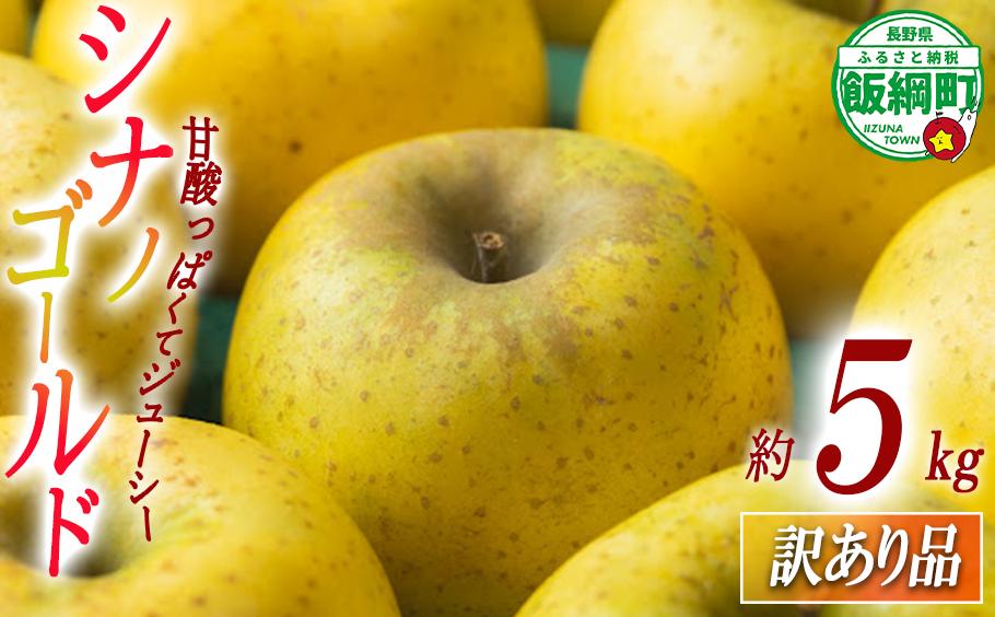 
                  【 甘酸っぱい / シナノゴールド 】 りんご シナノゴールド 訳あり 5kg 2026年11月上旬頃から2026年12月上旬頃まで順次発送予定 ふるさと振興公社 リンゴ 林檎 長野県 飯綱町 [2022]
                