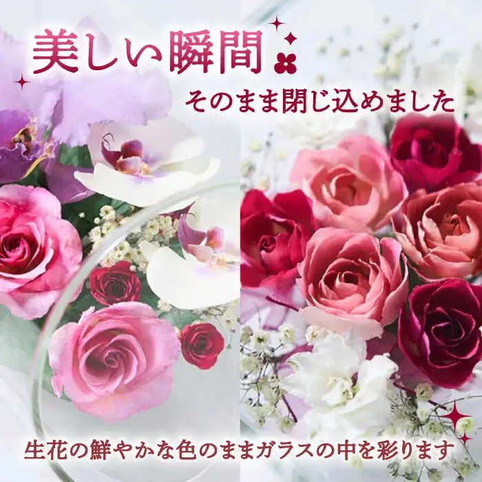 【プレート対応可】ボトルフラワー XA-D / 花 ドライフラワー[AFAW017]