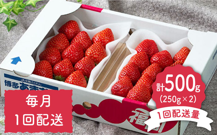 【全3回定期便】福岡産【冬】あまおう2パック＜南国フルーツ株式会社＞那珂川市 [GCD044]
