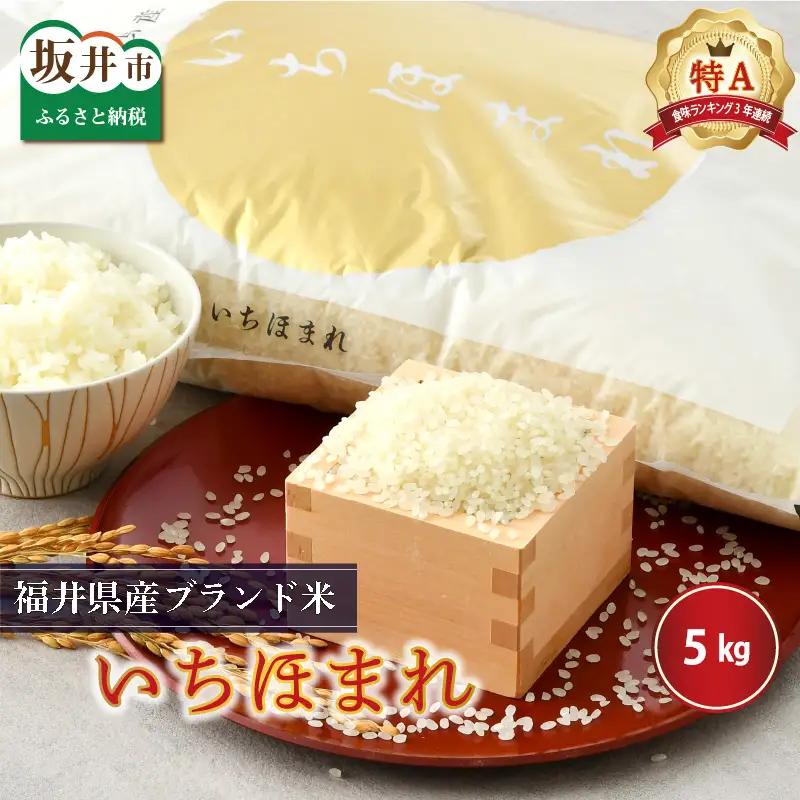 【令和7年産】（玄米）さんさん池見二代目がお届けする 福井県産いちほまれ 5kg [B-0219_04]