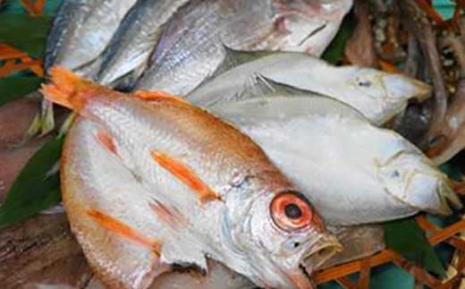 【数量限定30】干し物詰め合わせ　魚介類 魚介 魚 水産加工品 干物 干し物 詰め合わせ 冷凍 ふるさと納税 海鮮 ふるさと納税 干物　YY00004