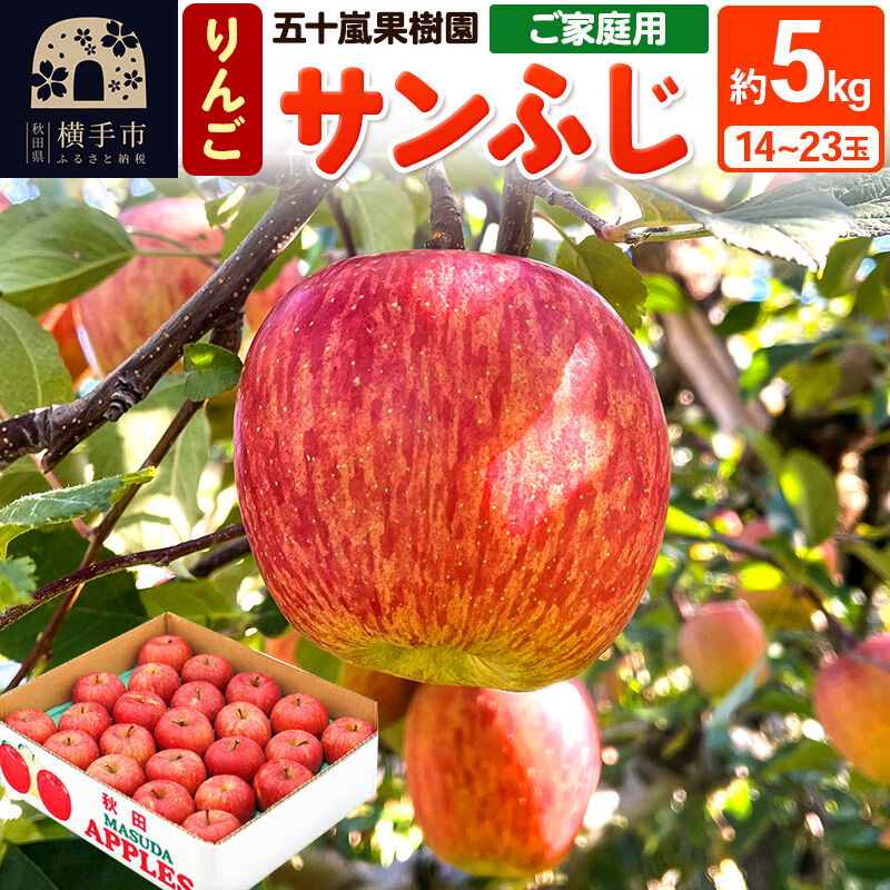 【ふるさと納税】【先行受付】12月中旬より発送 サンふじ 【ご家庭用】約5kg（14〜23玉）りんご 林檎 [先行予約 サンふじ サンフジ 林檎 リンゴ ご家庭用 家庭用 ご家庭向け 家庭向け フルーツ 果物 【りんご】特集]
