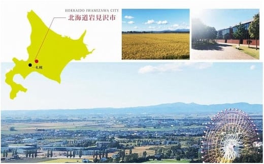 五つ星お米マイスター監修   北海道岩見沢産ゆめぴりか30kg※一括発送【01145】