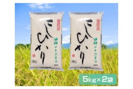 新米【令和6年産】特別栽培米 田仲のコシヒカリ 10kg (農薬・化学肥料7割減)｜先行予約 [1048]