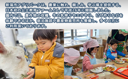 農業体験付き宿泊プラン（大人2名様・小人1名様）