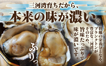 佐久島産天然真牡蠣　参州オイスター　1㎏≪配達不可エリア：北海道・沖縄・離島・東北・九州≫・E029