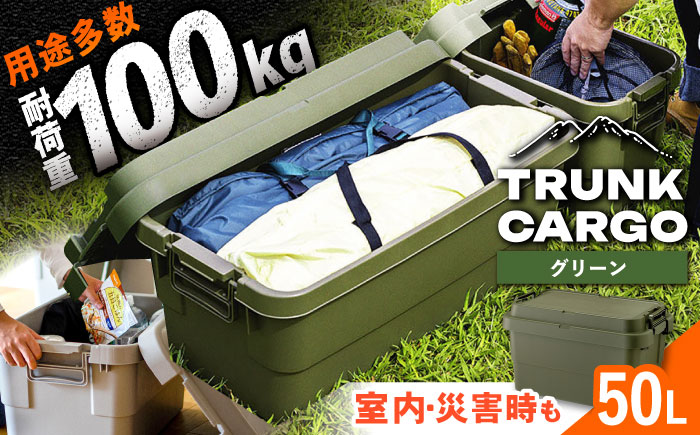 トランクカーゴ グリーン Mサイズ 1個 キャンプ ボックス 収納 アウトドア / 恵那市 / 東谷株式会社　明智流通センター [AUAD031]
