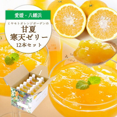 【ふるさと納税】ほろ苦く甘酸っぱいさわやかな味わい 愛媛産 甘夏寒天ゼリー12本セット【D25-17】【1255524】