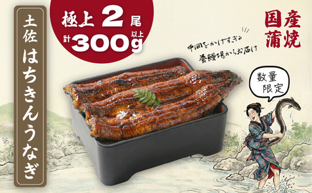 限定 国産 鰻 土佐はちきん うなぎ 蒲焼き 150g以上×2尾 | 無投薬 特上 極上 めす 贈答 南国市