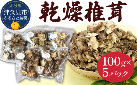 乾燥椎茸 訳あり 椎茸100g×5パック | 津久見市