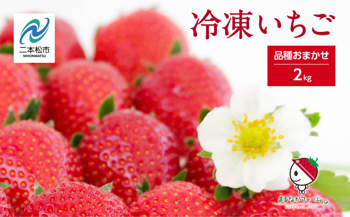 冷凍まんまるいちご 品種おまかせ 2kg いちご 冷凍いちご ストロベリー 苺 イチゴ フルーツ 果物 おすすめ お中元 お歳暮 ギフト 二本松市 ふくしま 福島県 送料無料【まるなかファーム株式会社】