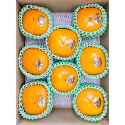 ふるさと納税 佐渡市 【先行予約】高級おけさ柿赤秀 2L(8玉) <まるはおけさ柿> |  | 01