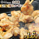 【ふるさと納税】ホルモン 九州産 ねぎ塩 ホルモン 200g 8袋 計 1.6kg [甲斐精肉店 宮崎県 日向市 452060692] 冷凍 個包装 パック 国産 国内産 味付き ねぎ塩 肉