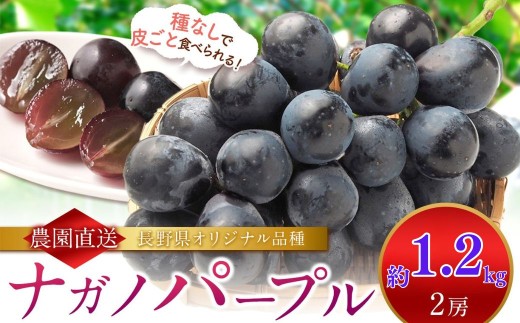 ナガノパープル 2房 約1200g 農事組合法人田原 ｜ 果物 フルーツ ぶどう 葡萄 ブドウ ナガノパープル 巨峰 リザマート 種無し 種なし 皮ごと 特産品 伊那市 長野県 信州 先行予約【013-70】
