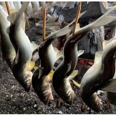 ふるさと納税 さくら市 地下水育ち 炭火焼き鮎 5尾 |  | 01