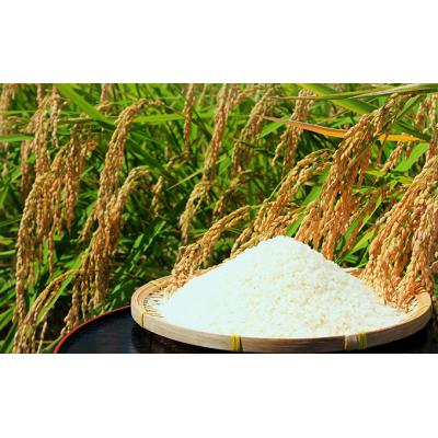 ふるさと納税 東吾妻町 【東吾妻町産】特別栽培ブランド米 さくや姫 10kg(5kg×2袋)[No.5819-0345] |  | 03