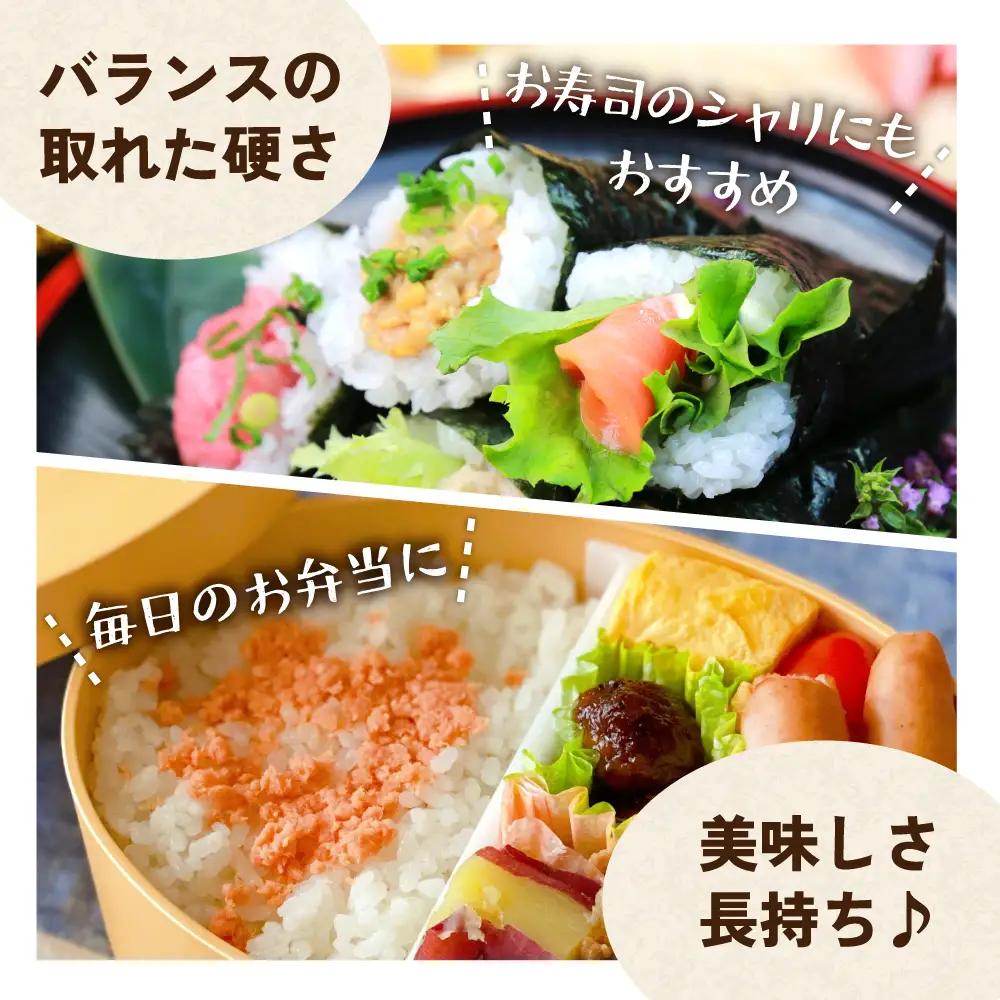 【新米予約】【12ヵ月定期便】令和8年産 ななつぼし 5kg 無洗米 北海道 留萌産