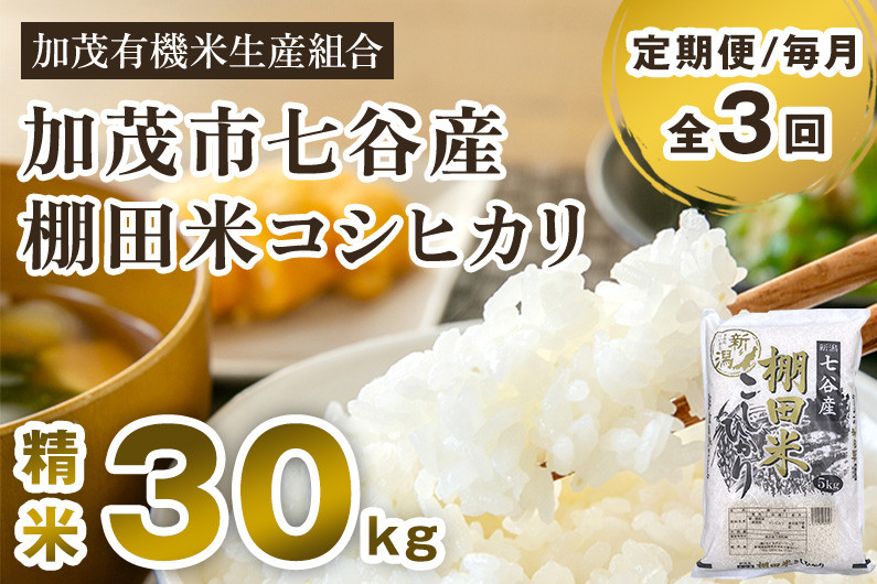 
            【令和7年産新米先行予約】【定期便3回毎月お届け】新潟県加茂市 七谷産 棚田米コシヒカリ 精米30kg（5kg×6） 《10月中旬から順次出荷》 白米 加茂有機米生産組合
          