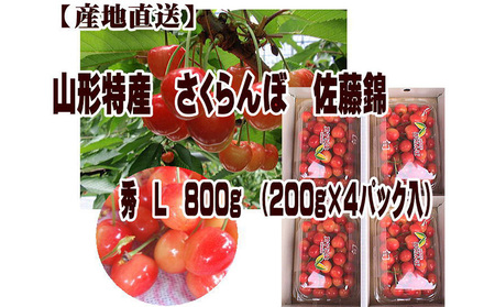 山形特産 さくらんぼ 佐藤錦 L 800g(200g×4パック入) 【令和7年産先行予約】FU22-972 くだもの 果物 フルーツ 山形 山形県 山形市 2025年産