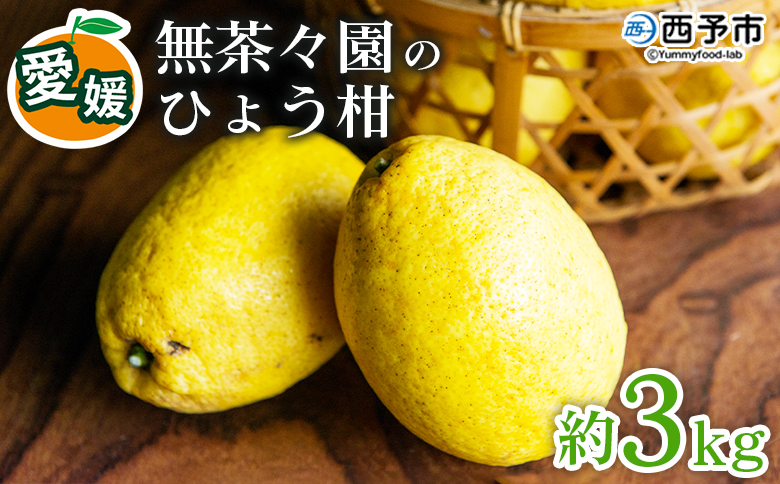 ＜無茶々園のひょう柑 約3kg＞ 果物 みかん ミカン 蜜柑 柑橘 フルーツ ひょうかん 弓削瓢柑 特産品 愛媛県 西予市