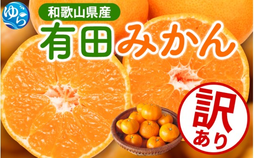 【先行予約】家庭用 有田みかん サイズ混合(2S～2L) 10kg+250g  ※11月より発送(完熟)  訳あり わけあり 光センサー選果 くだもの 果物 みかん 有田みかん ミカン 柑橘 【ikd175B】