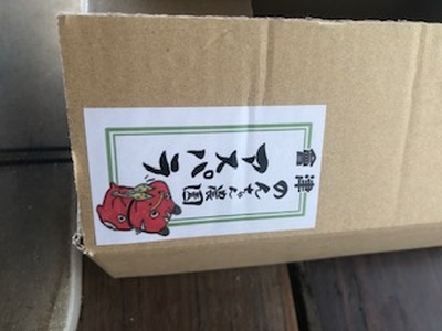 60-A 極太アスパラガス2～3Lサイズ1kg（約20本）※2026年4月下旬～5月下旬頃に順次発送予定