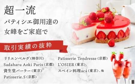 【来シーズン先行予約】亀岡産いちご 女峰 2箱 イチゴ