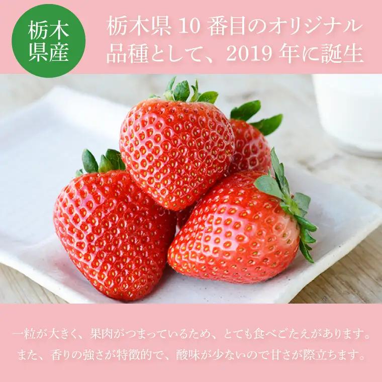 とちあいか いちご ★家庭用★ 600g 300g×2P DJ003