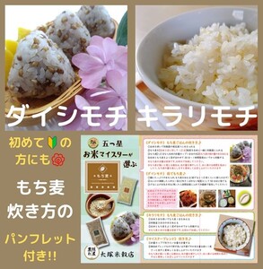 CI819_佐賀県産『もち麦』食べ比べ！キラリモチ３kg、ダイシモチ３kg（計６㎏）