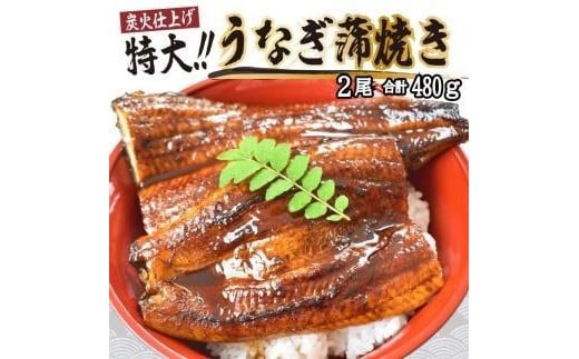 
うなぎ蒲焼き2尾入り 480g（蒲焼たれ4袋 山椒付き）【KS5】
