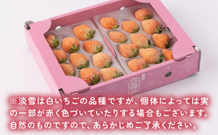 【2026年発送分 先行予約】淡いピンクの白いちご「淡雪」220g×4パック / フルーツ / 佐賀県 / 岸川農園 [41ASAG013]