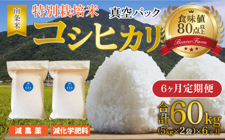 【先行予約】【6ヶ月連続お届け】【令和7年産新米】南条米 特別栽培米コシヒカリ 真空パック 精米 10kg(5kg×2袋)×6ヶ月 (計60kg)【10月上旬より順次発送】