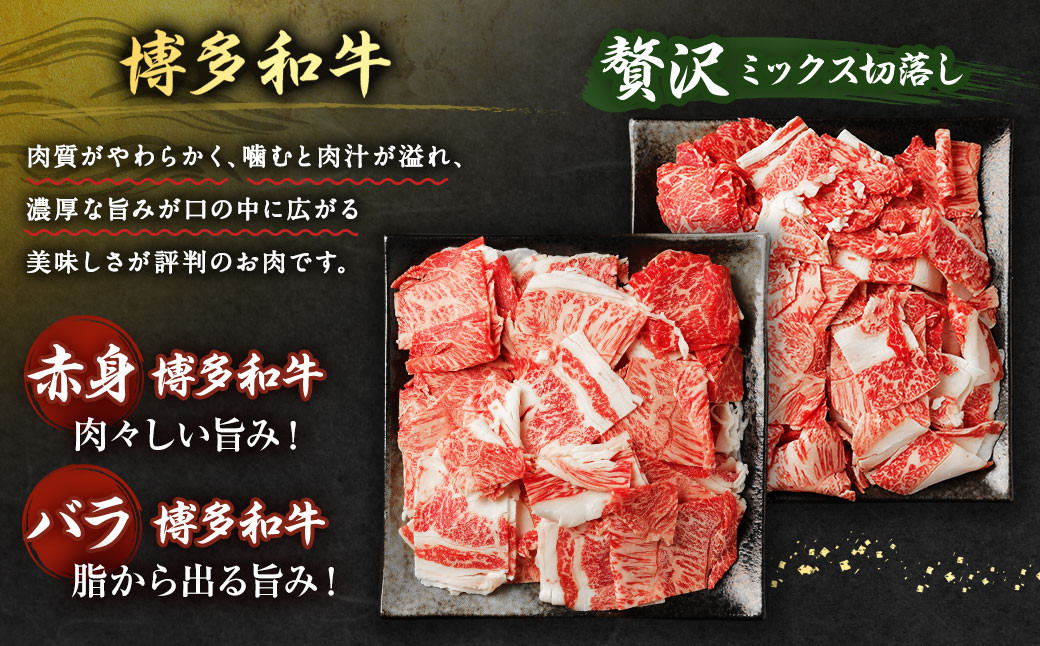 【訳あり】博多和牛 切落し 合計1kg (500g×2パック)