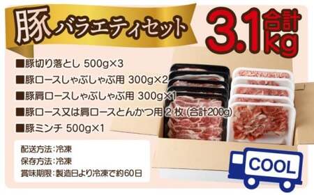 ＜2025年12月発送分＞宮崎県産豚バラエティー3.1kgセット