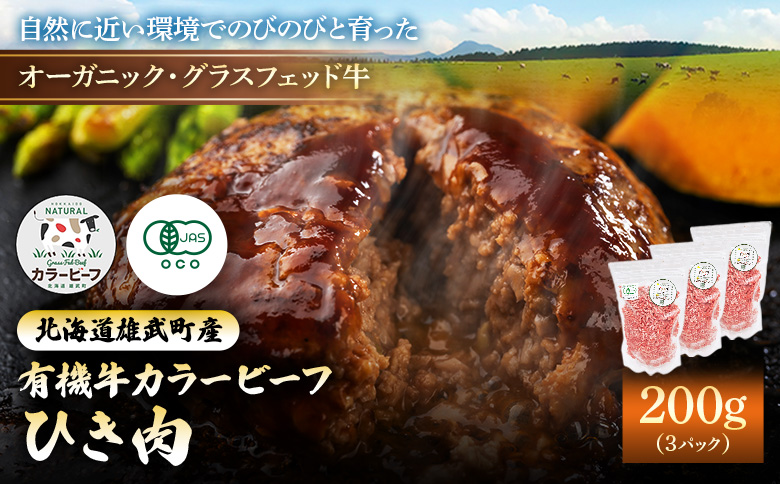 雄武産有機牛カラービーフ ひき肉（200ｇｘ３Ｐ） | 牛肉 オーガニック グラスフェッド 放牧 有機JAS 有機牛 国産牛カラービーフ ひき肉 200ｇ ３パック 600g カラービーフ 有機JAS認定牧草使用 安心 安全 脂肪控えめ 低脂肪 胃もたれしにくい 自然 大自然 オホーツク 有機畜産牛 有機牧草 環境に優しい 健康 広大な大地 牧草飼育牛 オーガニック牧草 食品 グルメ お肉 北海道産 雄武町産 冷凍 お取り寄せ 雄武町観光協会 北海道 雄武町 雄武【01132】