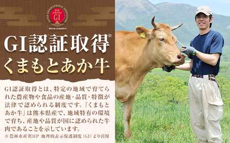 牛肉 GI認証 くまもとあか牛すき焼き・しゃぶしゃぶ用 500g 山の里《60日以内に出荷予定(土日祝除く)》熊本県 産山村 しゃぶしゃぶ すき焼き GI認証 くまもとあか牛 赤身 和牛 牛肉 国産 