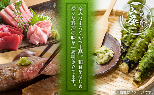 那賀わさび (イシダル) 約100g 1～2本【徳島県 那賀町 生産者直送 産地直送 本わさび わさび ワサビ 生わさび 山葵 野菜 香味野菜 国産 イシダル 薬味 調味料 万能 新鮮】FN-11